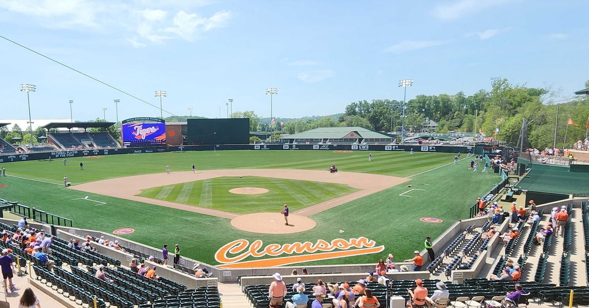tiger-field.jpg